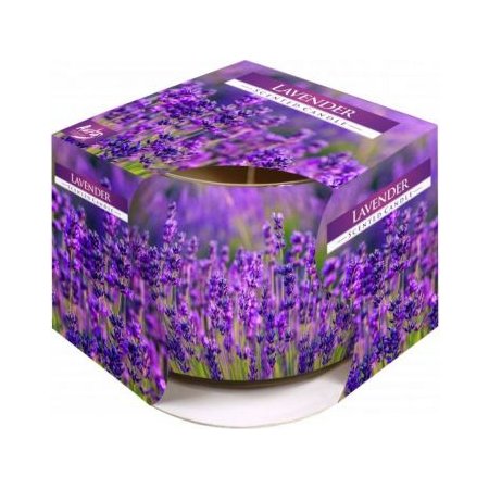 Bispol vonná sviečka sn71s-09 Lavender