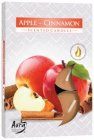 Bispol Apple & Cinnamon čajové sviečky 6ks p15-87