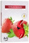 Bispol Strawberry čajové sviečky 6ks p15-73