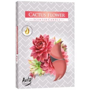 Bispol Kaktusový kvet čajové sviečky 6ks p15-312
