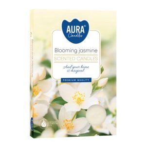 Aura Bispol Blooming Jasmine vonné čajové sviečky 6ks