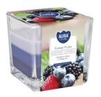 Aura Bispol Forest Fruits vonná sviečka 170g