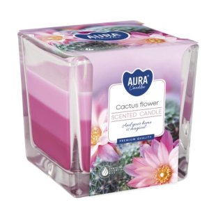 Aura Bispol Cactus Flower vonná sviečka 170g