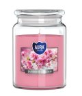 Aura Bispol Japanese Garden vonná sviečka 500g